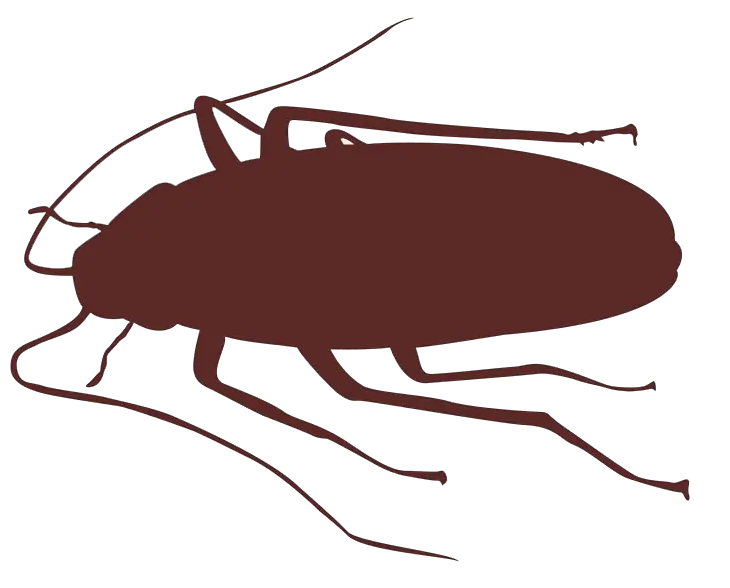 Cockroach Flat