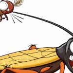 Cockroaches vs Crickets (Ultimate Guide)