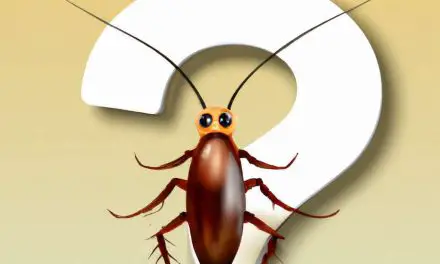 Why Do Cockroaches Exist? (10 Reasons)