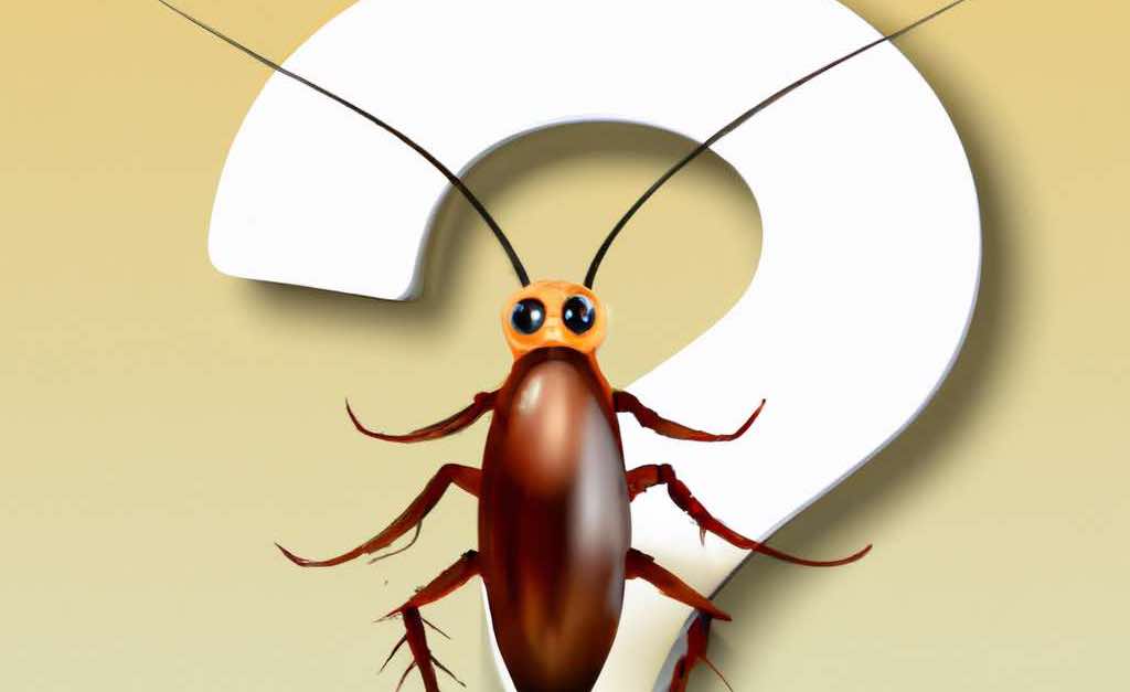Why Do Cockroaches Exist? (10 Reasons)