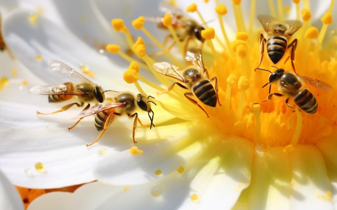 Uncovering Nature’s Tiny Heroes: Are Ants Pollinators?