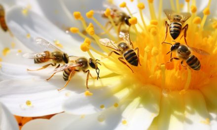 Uncovering Nature’s Tiny Heroes: Are Ants Pollinators?