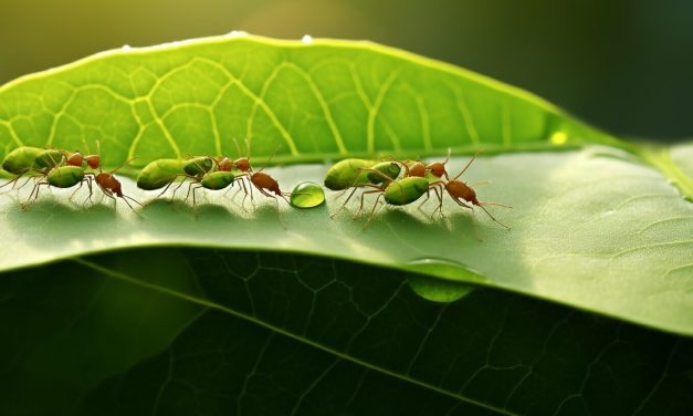How Many Ants Would it Take to Lift a Human?