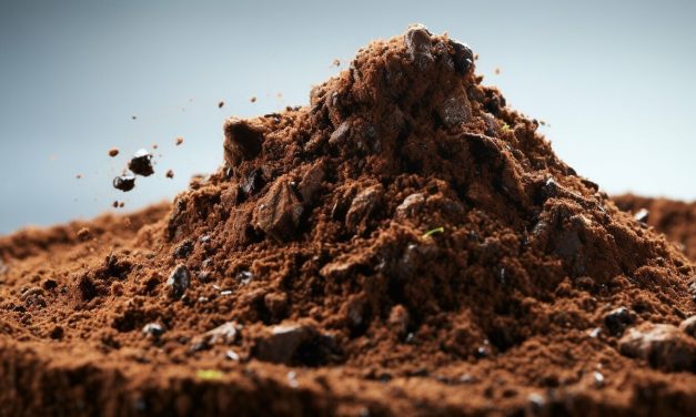 Discover What Ant Poop Looks Like: An Uncommon Guide