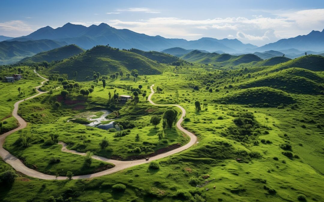 Where is the black ant hill